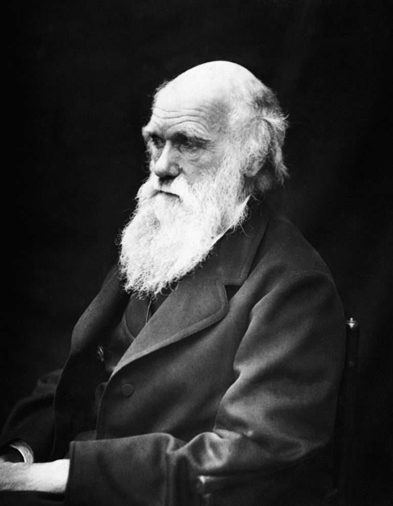 The Evolutionary Perspective Genetic Inheritance From Our Ancestors 