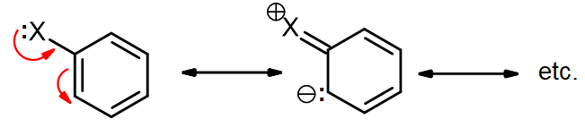 An atom with a lone pair can donate electrons into an aromatic ring