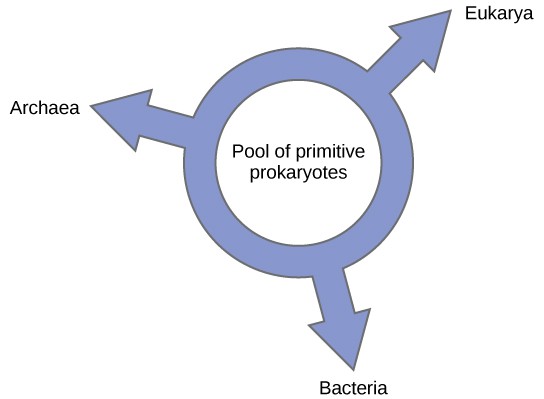 Illustration shows a ring with the words 