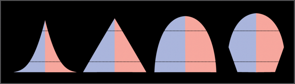 For the four different age structure diagrams shown, the base represents birth and the apex occurs around age 70. The age structure diagram for stage 1, rapid growth, is shaped like a deflated triangle that starts out wide at the base and rapidly decreases to a narrow apex, indicating that the number of individuals decreases rapidly with age. The age structure diagram for stage 2, slow growth, is triangular in shape, indicating that the number of individuals decreases steadily with age. The age structure diagram for stage 3, stable growth, is rounded at the top, indicating that the number of individuals per age group decreases gradually at first, then increases for the older portion of the population. The final age structure diagram, stage 4, widens from the base to middle age, and then narrows to a rounded top. The population type indicated by this diagram is not given, as this is part of the art connection question.