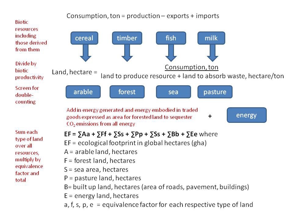 Footprinting Carbon Ecological And Water Sustainability A Comprehensive Foundation