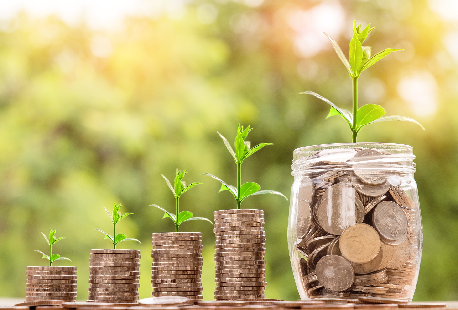 Photograph of increasing stacks of coins with plants on top of each stack, indicating growth