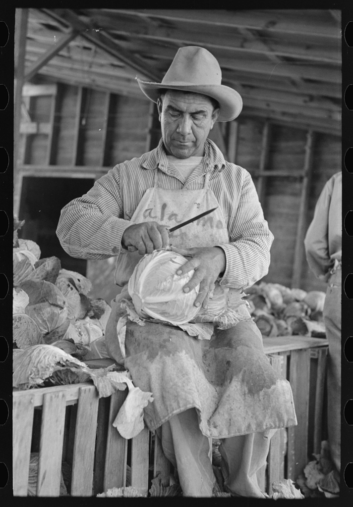 Mexican cabbage packer, Alamo, Texas by Russell Lee, 1903-1986, photographer, 1939; Farm Security Administration - Office of War Information Photograph Collection; Library of Congress Prints and Photographs Division Washington, DC 20540 USA http://hdl.loc.gov/ loc.pnp/pp.print.