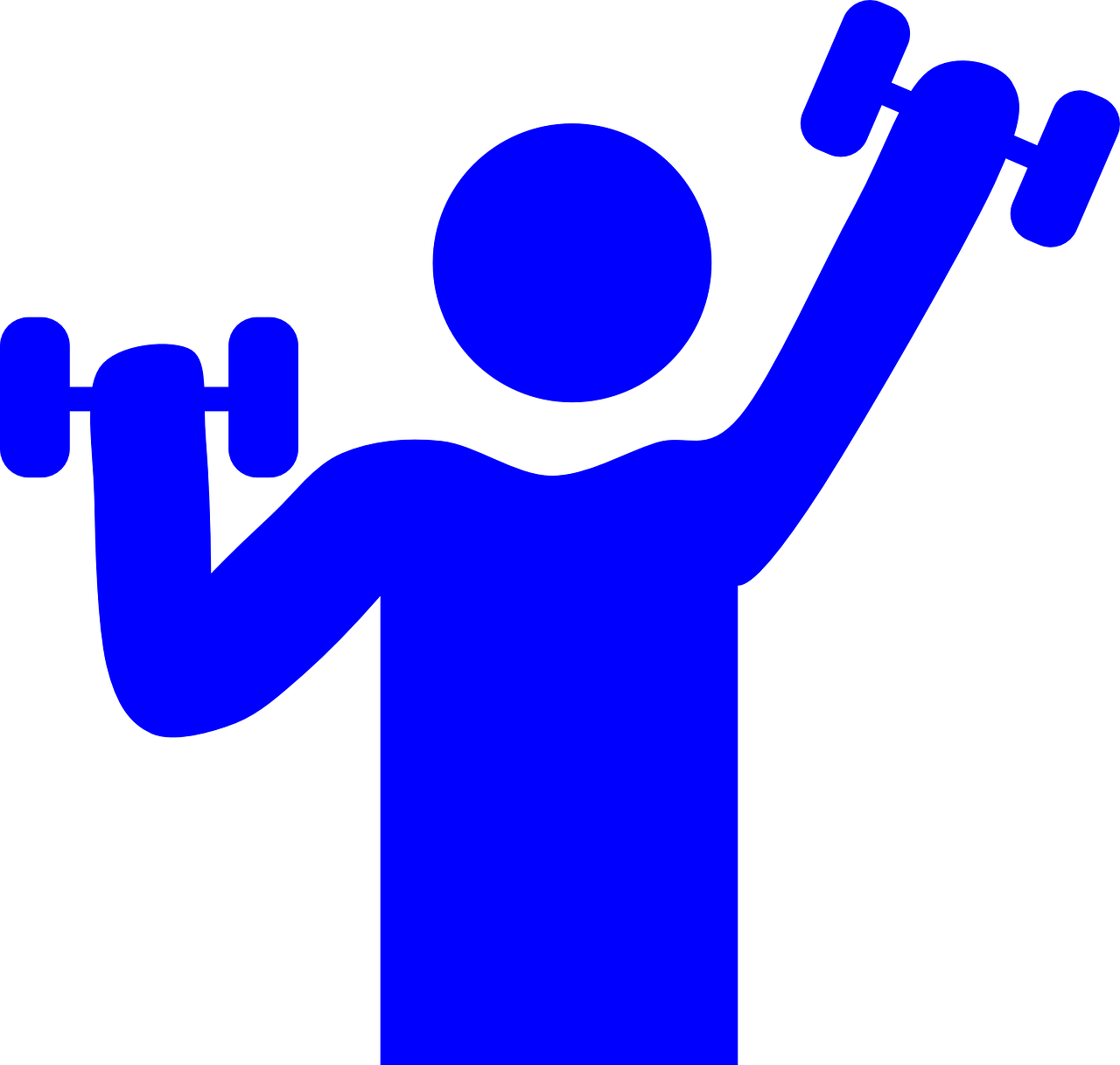 Introduction To Writing Strong Sentences English Composition 1