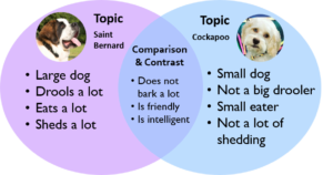 Venn diagram comparing Saint Bernards and Cockapoo dogs. 