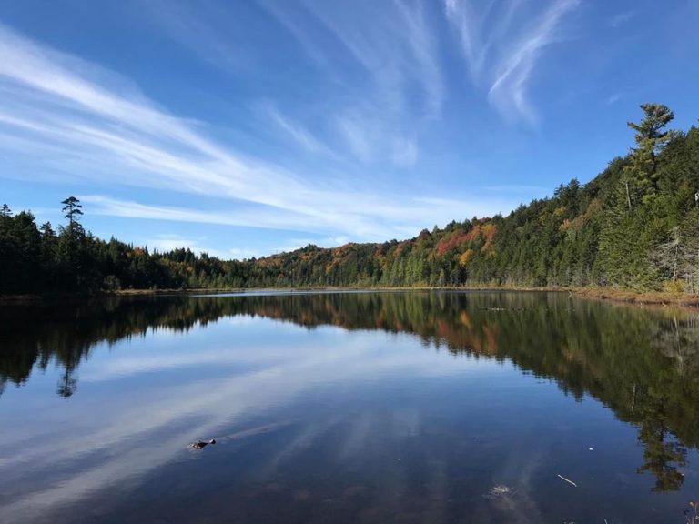 The Literary Voice The Literary Voice