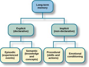 explicit declarative implicit episodic semantic procedural tulving ltm psych squire conditioning