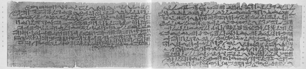 A photograph of two sheets of papyrus covered in hieroglyphs .