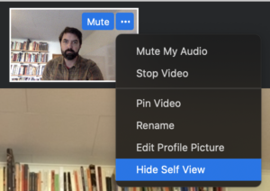 Screenshot showing the option to "Hide Self View" in Zoom