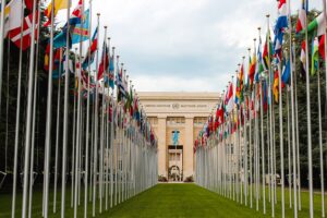 World flags on a green lawn