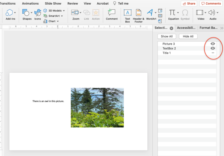 Slide Accessibility | Public Speaking