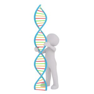 icon of a person holding a DNA ladder