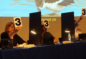 Judges in a contest holding up numbers