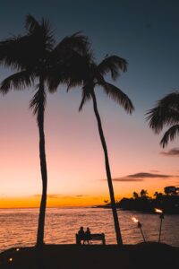 A couple under palm trees at sunset