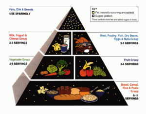 A drawing of the food pyramid with grains on the bottom, vegetables and fruit in the next largest layer, then a layer with dairy and meat, then fats, oils and sweets on top.