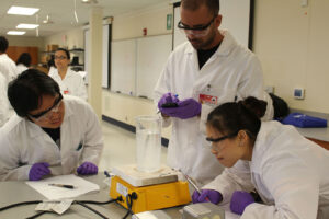 Students performing a science experiment