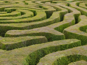 A hedge maze