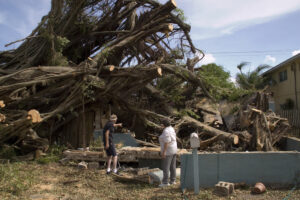 two people inspecting a downed tree