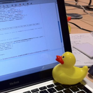 A rubber duck on a laptop computer