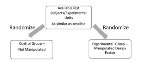 A small flowchart. At the top, there is a box that reads "Available Test Subjects/Experimental Units. As similar as possible." There are two arrows leading to different boxes, both labeled "Randomize." One of the boxes reads "Control Group - Not Manipulated," while the other reads "Experimental Group - Manipulated Design Factor."