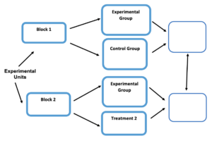 A flowchart. On the far left is "Experimental Units," which has two arrows leading from it to boxes labeled "Block 1" and "Block 2," respectively. "Block 1" has an arrow leading to a box labeled "Experimental Group" and another to a box labeled "Control Group." "Experimental Group" and "Control Group" each have an arrow leading from them to the same blank box. From "Block 2," there is an arrow leading to a different box labeled "Experimental Group" and another box labeled "Treatment 2" Both of these boxes have an arrow leading to a different blank box. The two blank boxes have a two-way arrow between them.