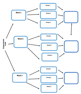 A flowchart that begins with "Experimental Units." From here, there are three arrows, to a column of boxes labeled "Block 1," "Block 2," and "Block 3." Block 1 has three arrows leading to different boxes, labeled "Group 1," Group 2," and "Group 3," respectively. These all have arrows leading to the same box, which has nothing written in it. "Block 2" and "Block 3" have the same pattern of arrows and boxes as "Block 1." The top 2 unlabeled boxes are also connected with an arrow pointing both directions.