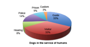 A 3-D pie chart of dogs in the service of humans. 33% are guide, 33% are visitor, 8% are hearing, 14% are police, 9% are prison, and 3% are custom.