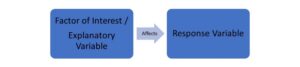 A small flowchart. The first box says "Factor of Interest / Explanatory Variable." There is an arrow beside it labeled "affects" going to the second box, labeled "Response Variable."