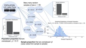 An illustration of various terms related to sampling and distribution. In the top left corner, there is a bubble labeled “Population: U.S. Labor Force.” Beneath this bubble is a bar chart titled “Population Distribution.” The bar chart is labeled “Employment Level” on the x-axis and “Proportion” on the y-axis. For “Employed,” the count is approximately 0.85. For “Unemployed,” the count is approximately 0.15. Beneath this graph is a caption reading “Population proportion that are unemployed: p = 0.15.” From the bubble labeled “Population: U.S. Labor Force,” there are also several arrows pointing to other bubbles. Above them, there is text reading “Many many random samples of size n = 50.” The bubbles are labeled the following: “p = 0.11,” “p = 0.12,” “p = 0.18,” “p = 0.16,” “p = 0.20,” “p = 0.22,” “p = 0.14,” and “p = 0.18.” From the bubble labeled “p = 0.12,” there is a bar chart to the right titled “Sample Distribution.” On the x-axis, it is labeled “Employment Level,” and on the y-axis, it is labeled “Proportion.” For “Employed,” the proportion is approximately 0.88, while for “Unemployed,” the proportion is approximately 0.12. Each of the bubbles also has an arrow leading from it to a graph in the bottom righthand corner. This graph is titled “Sampling Distribution of Sample Proportion,” with a subheading that reads “Mean = 0.15, Standard deviation = 0.0499 (10,000 simulations of samples of size n = 50).” On the x-axis, the graph is labeled “Sample proportion p, and on the y-axis, the graph is labeled “Frequency.” The graph is a bar graph with a peak around approximately 0.14. There is a dot at approximately 0.15. Beneath this graph and the bubbles to its left, there is text that reads “Sample proportion that are unemployed: p (value varies from sample to sample).”
