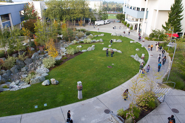 a campus walkway