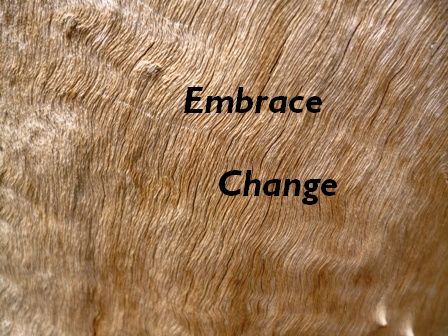 "Embrace Change" against a textured wood background