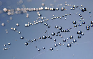 Water droplets on an almost invisible spiderweb