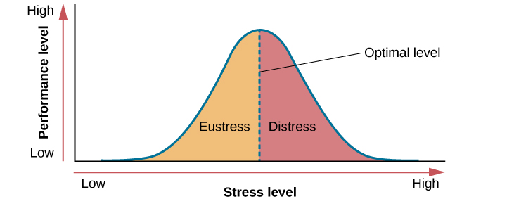 Why Am I Like This  Where Does Our Stress Come From  Episode 4  PBS