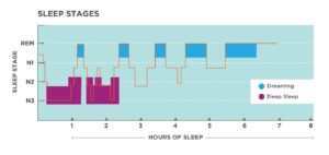 stages-of-sleep-introduction-to-psychology