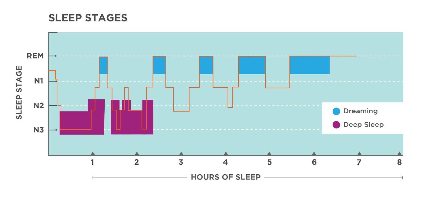 Understanding Sleep Abnormal Psychology