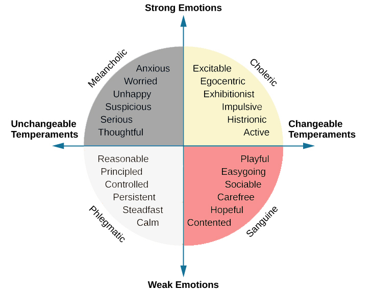 16.1 Personality Traits – Introduction to Psychology