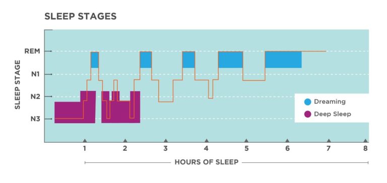 Sleep and Sleep Stages Introduction to Psychology