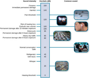 This illustration has a vertical bar in the middle labeled Decibels (dB) numbered 0 to 150 in intervals from the bottom to the top. To the left of the bar, the “sound intensity” of different sounds is labeled: “Hearing threshold” is 0; “Whisper” is 30, “soft music” is 40, “Refrigerator” is 45, “Safe” and “normal conversation” is 60, “Heavy city traffic” with “permanent damage after 8 hours of exposure” is 85, “Motorcycle” with “permanent damage after 6 hours exposure” is 95, “Earbuds max volume” with “permanent damage after 15 miutes exposure” is 105, “Risk of hearing loss” is 110, “pain threshold” is 130, “harmful” is 140, and “firearms” with “immediate permanent damage” is 150. To the right of the bar are photographs depicting “common sound”: At 20 decibels is a picture of rustling leaves; At 60 is two people talking, at 85 is traffic, at 105 is ear buds, at 120 is a music concert, and at 130 are jets.