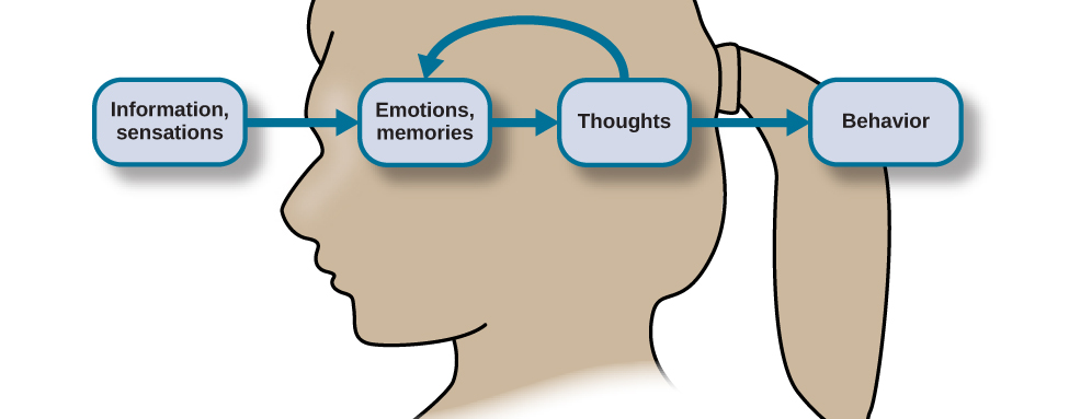 what is knowledge representation in cognitive psychology