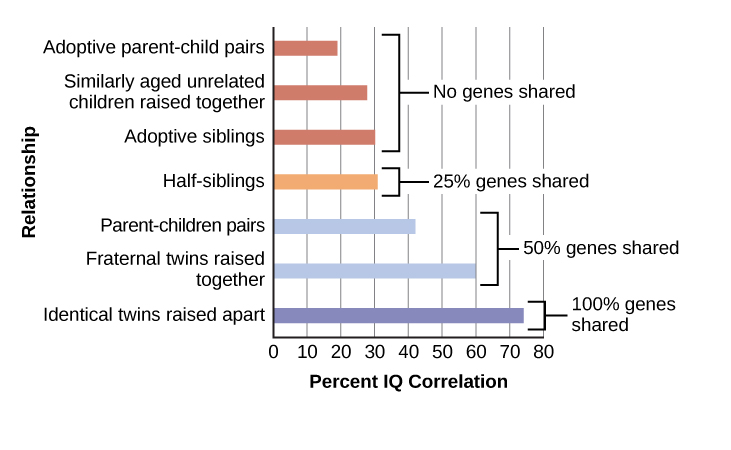 Genetics and Intelligence: The Impact of Heritability Rate on IQ Levels —  Eightify