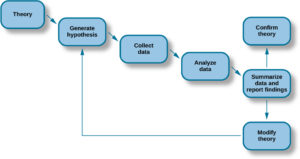 et diagram har syv mærkede bokse med pile for at vise progressionen i rutediagrammet. Diagrammet starter ved