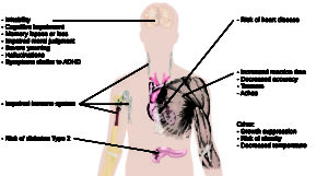 An illustration of the top half of a human body identifies the locations in the body that correspond with various adverse affects of sleep deprivation. The brain is labeled with “Irritability,” “Cognitive impairment,” “Memory lapses or loss,” “Impaired moral judgment,” “Severe yawning,” “Hallucinations,” and “Symptoms similar to ADHD.” The heart is labeled with “Risk of heart disease.” The muscles are labeled with “Increased reaction time,” “Decreased accuracy,” “Tremors,” and “Aches.” There is an organ near the stomach labeled “Risk of diabetes Type 2.” Various parts of the neck, arm, and underarm are labeled “Impaired immune system.” Other risks include “Growth suppression,” “Risk of obesity,” “Decreased temperature.”