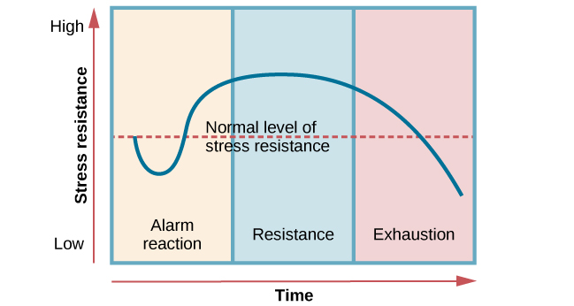 Module 43 Stress and Health amp Module 44 Stress and Illness Flashcards   Quizlet