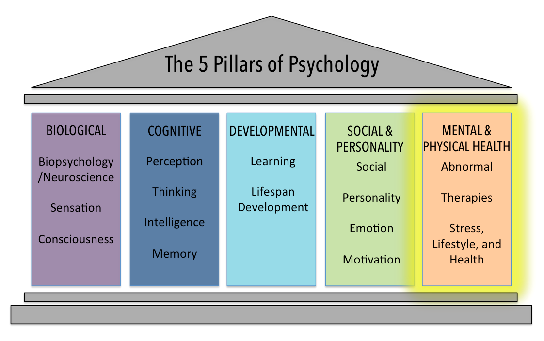 Image of five pillars, showing the biological, cognitive, developmental, social and personality, and mental and physical health.