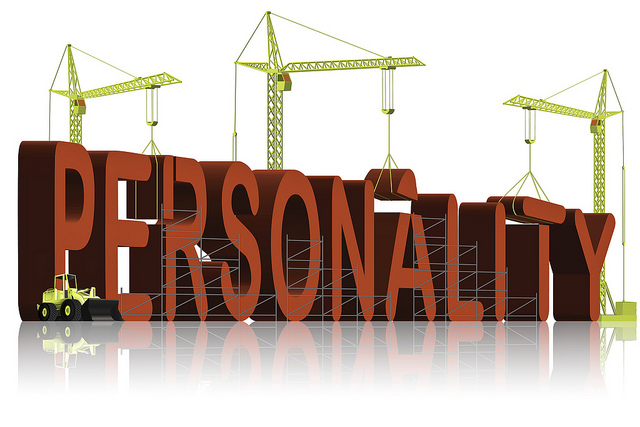 wired that way personality profile assessment tool