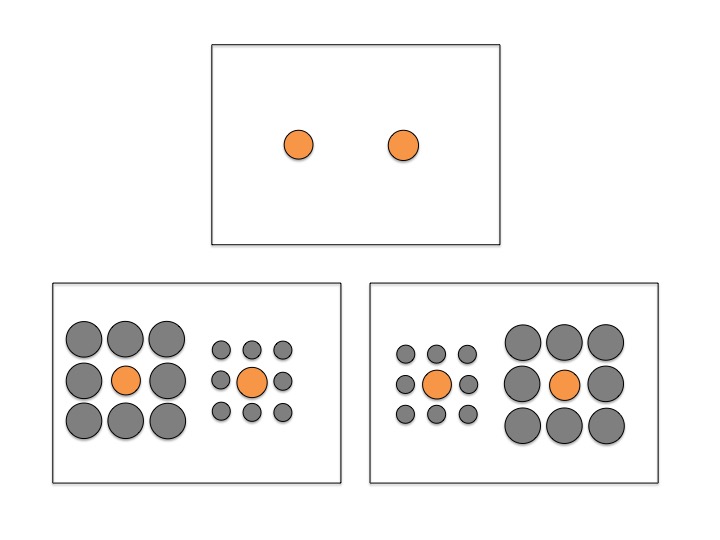 The open-object illusion: size perception is greatly influenced by object  boundaries