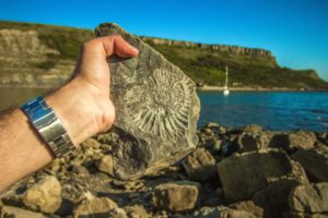 Image shows a man’s hand holding a fossil outside near water.