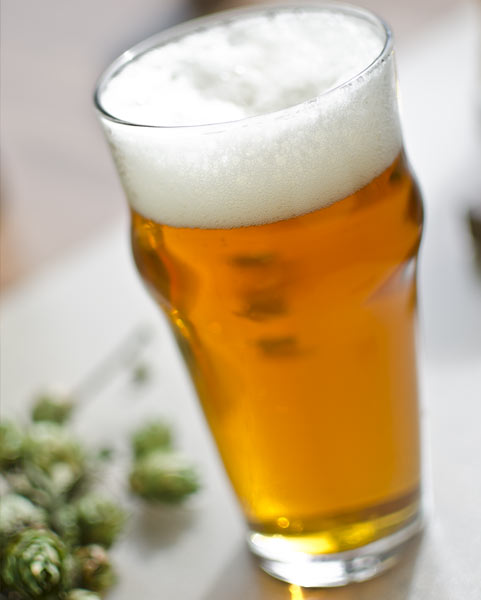 IPA Day