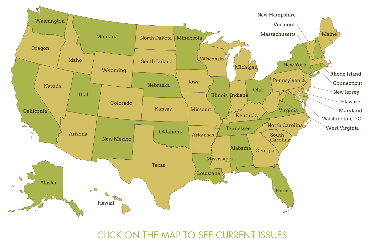 Support your Local Brewery