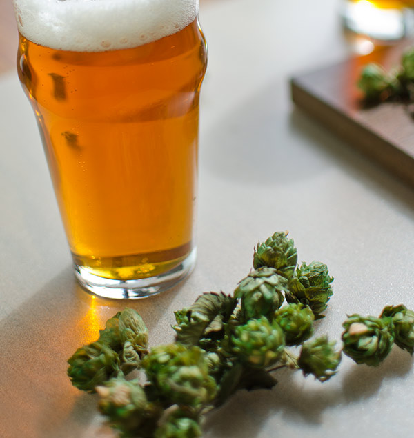 Birth of a Hop